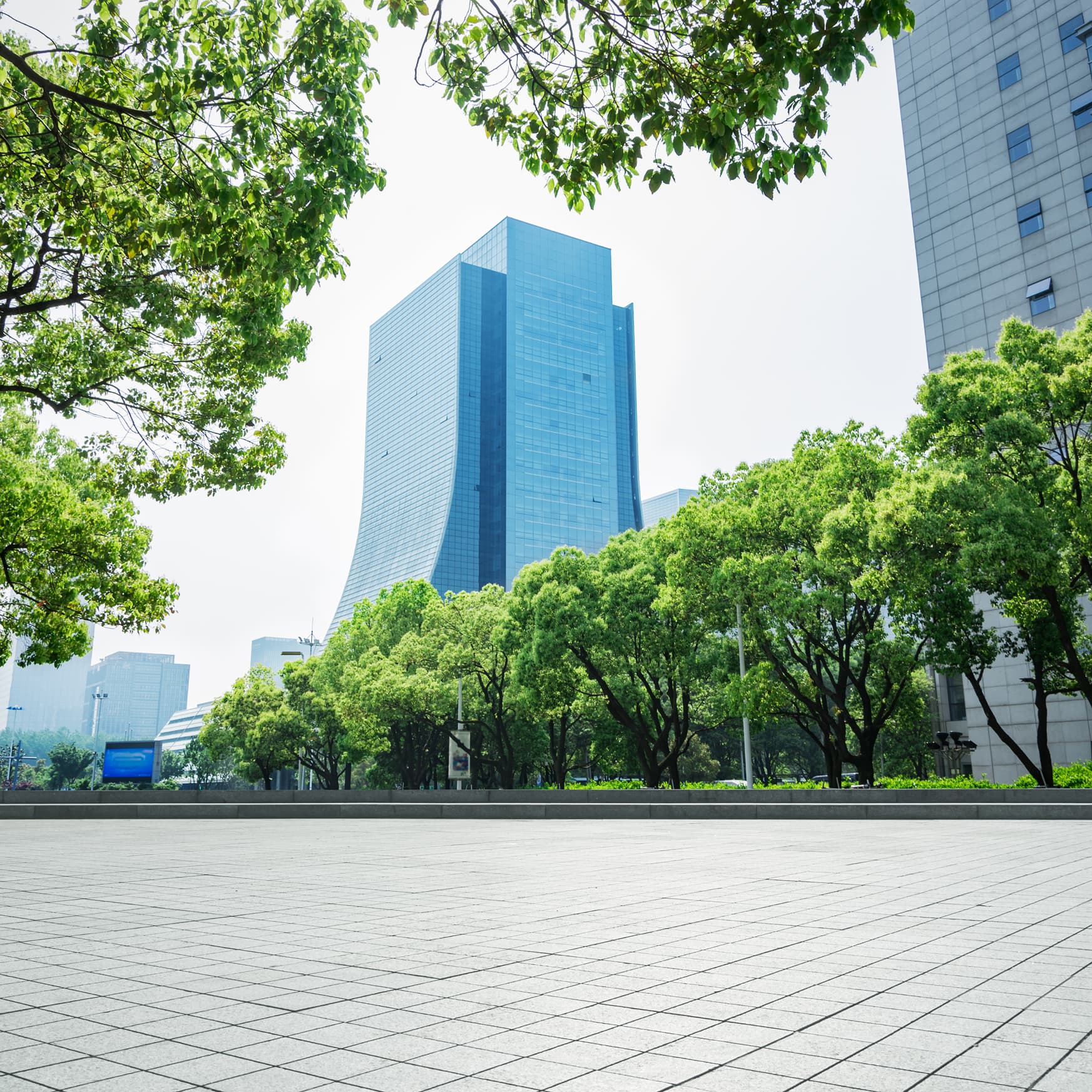 Leaders that set the standards