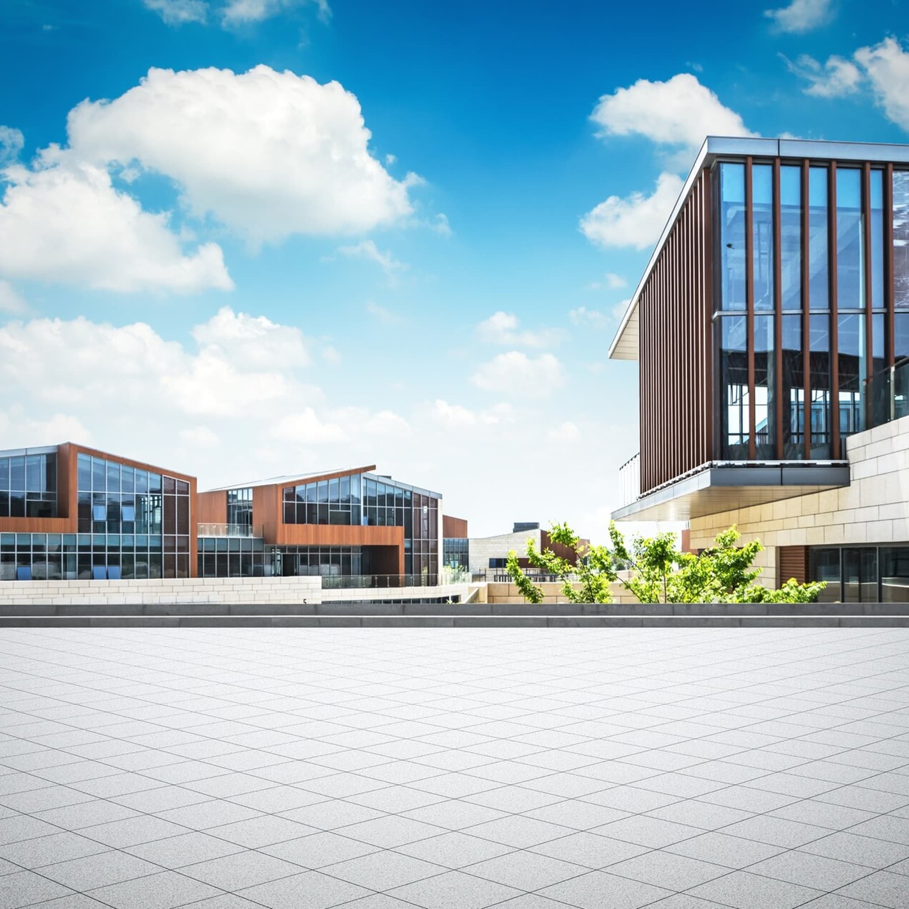 Public Finance Who We Serve